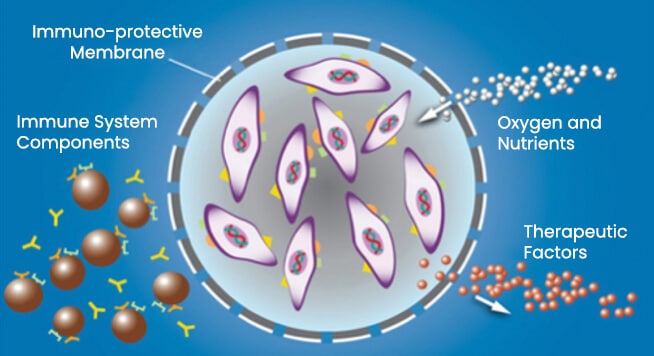 Encapsulated Cell Technology